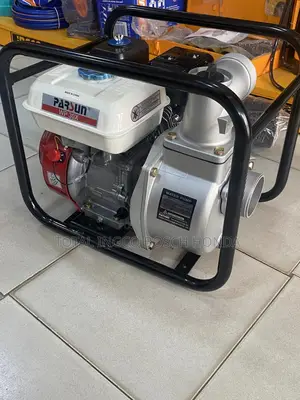 Water Pump 4stroke Gasoline Engine Parsun 5.5hp (256gp)