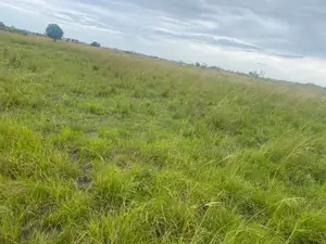 Litigation Free Plots of Land for Sale at Prampram