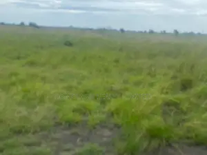 Litigation Free Plots of Land for Sale at Prampram