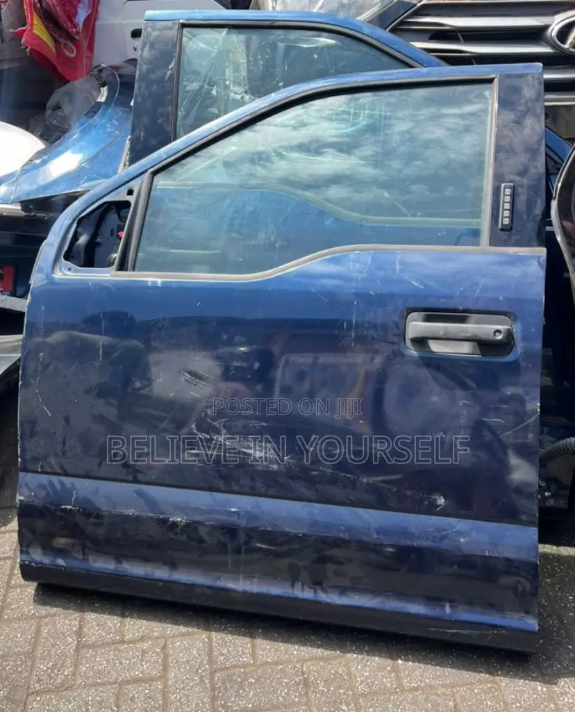 Ford F-150 2017,2018,2019 Front Door Driver Side
