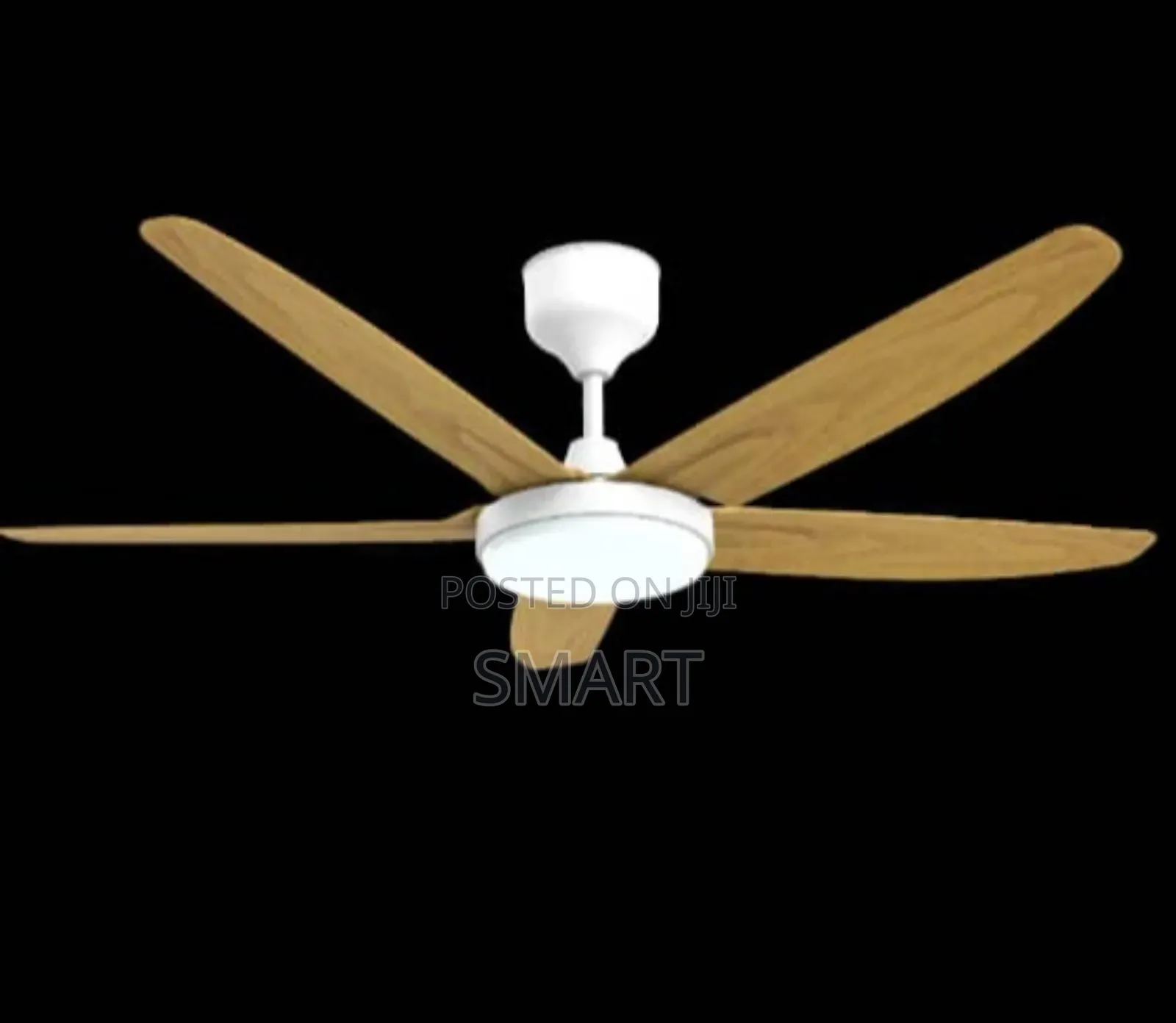 Executive Art Fan Light With Remote