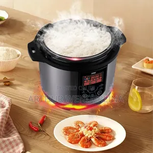 Winning Sta 10l Electric Pressure Cooker With Touch Panel, Silver.