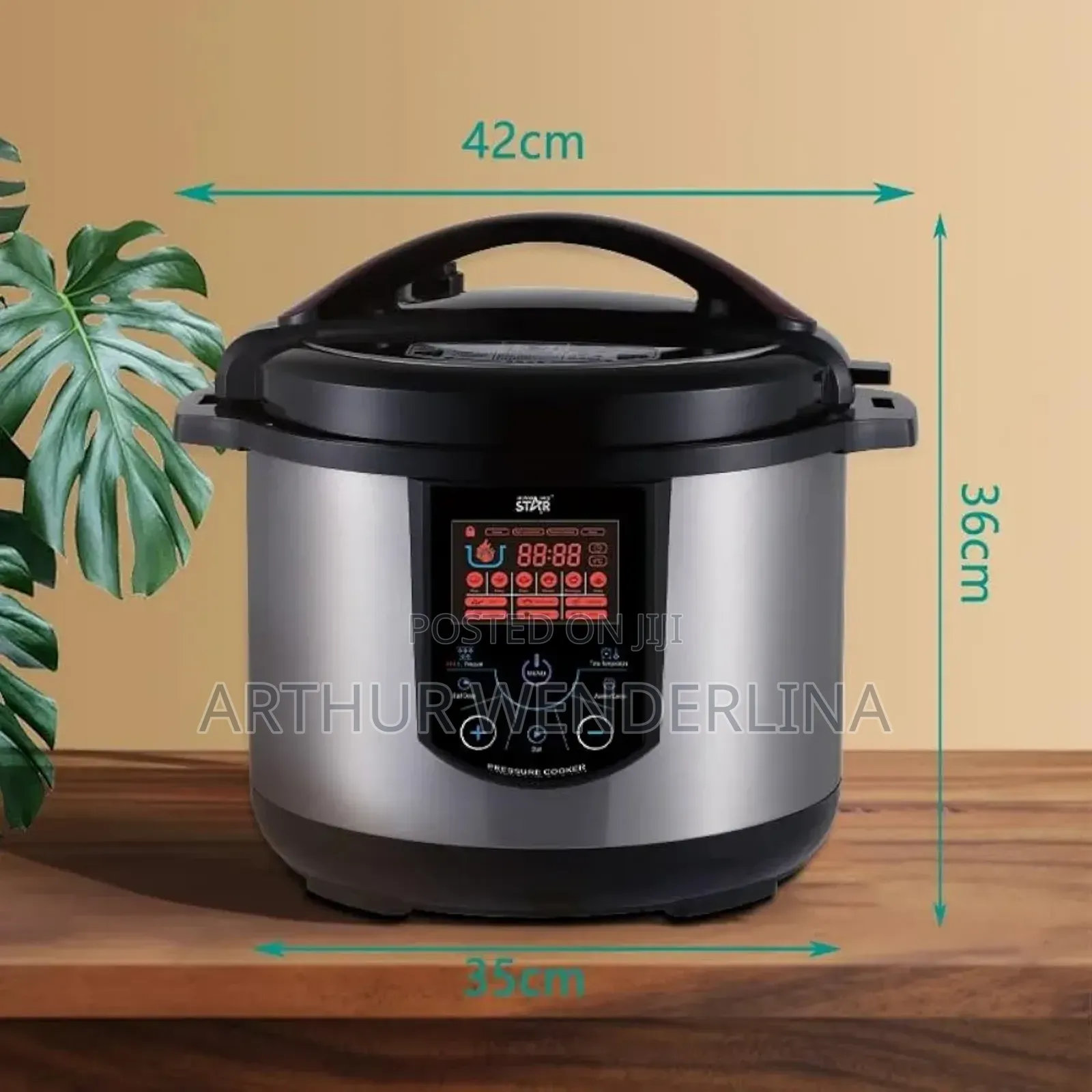 Winning Sta 10l Electric Pressure Cooker With Touch Panel, Silver.