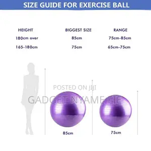 Gym / Yoga / Pregnancy Ball (55cm-100cm) + Free Foot Pump