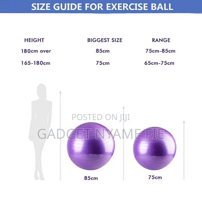 Gym / Yoga / Pregnancy Ball (55cm-100cm) + Free Foot Pump