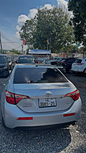 Car Rentals