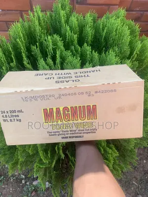 Magnum Tonic Wine – 24-Pack (200ml Each) | Bold Flavor, 16.5% Abv