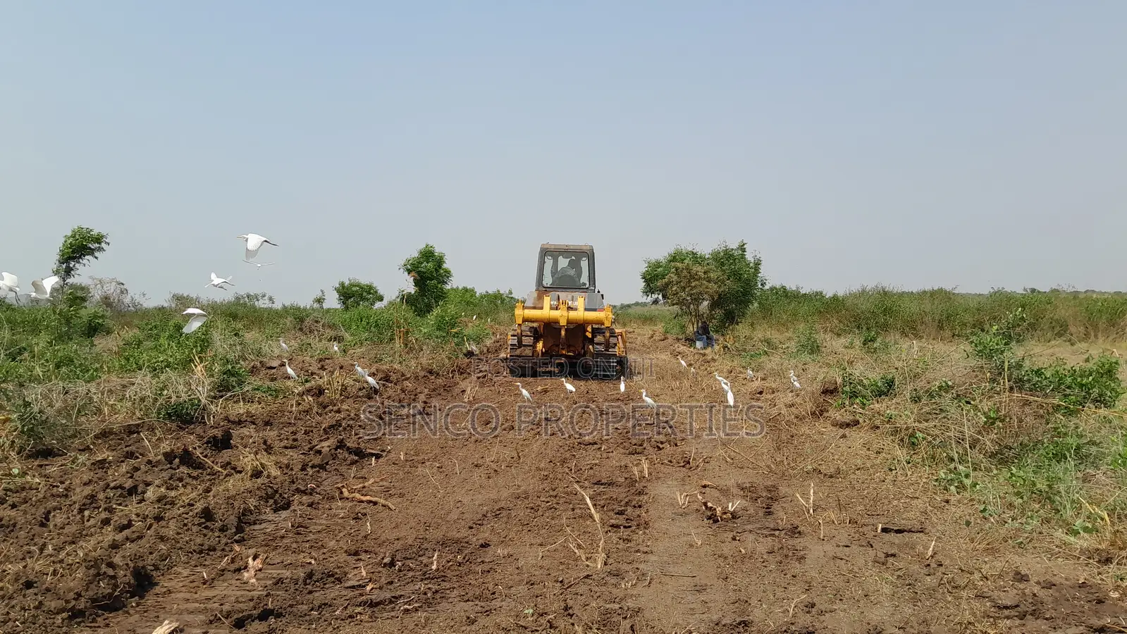 Estate Plots of Land for Sale at Winneba Junction