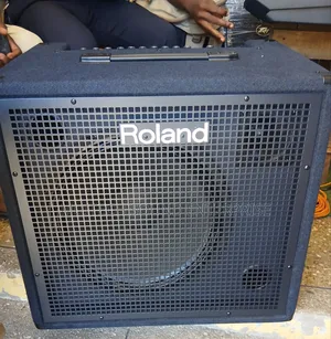 Roland Keyboard Combo (Roland Kb 600)