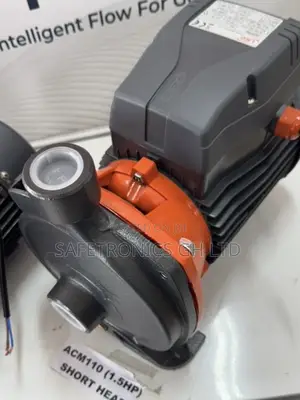 Authentic (Grey) 1.5hp Acm110 Leo Short Head Water Pump