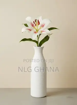 Modern Ceramic Vase With Matte Finish. Ghx7486