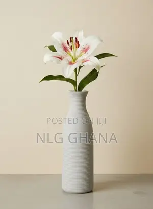 Modern Ceramic Vase With Matte Finish. Ghx7486