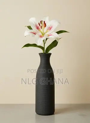 Modern Ceramic Vase With Matte Finish. Ghx7486
