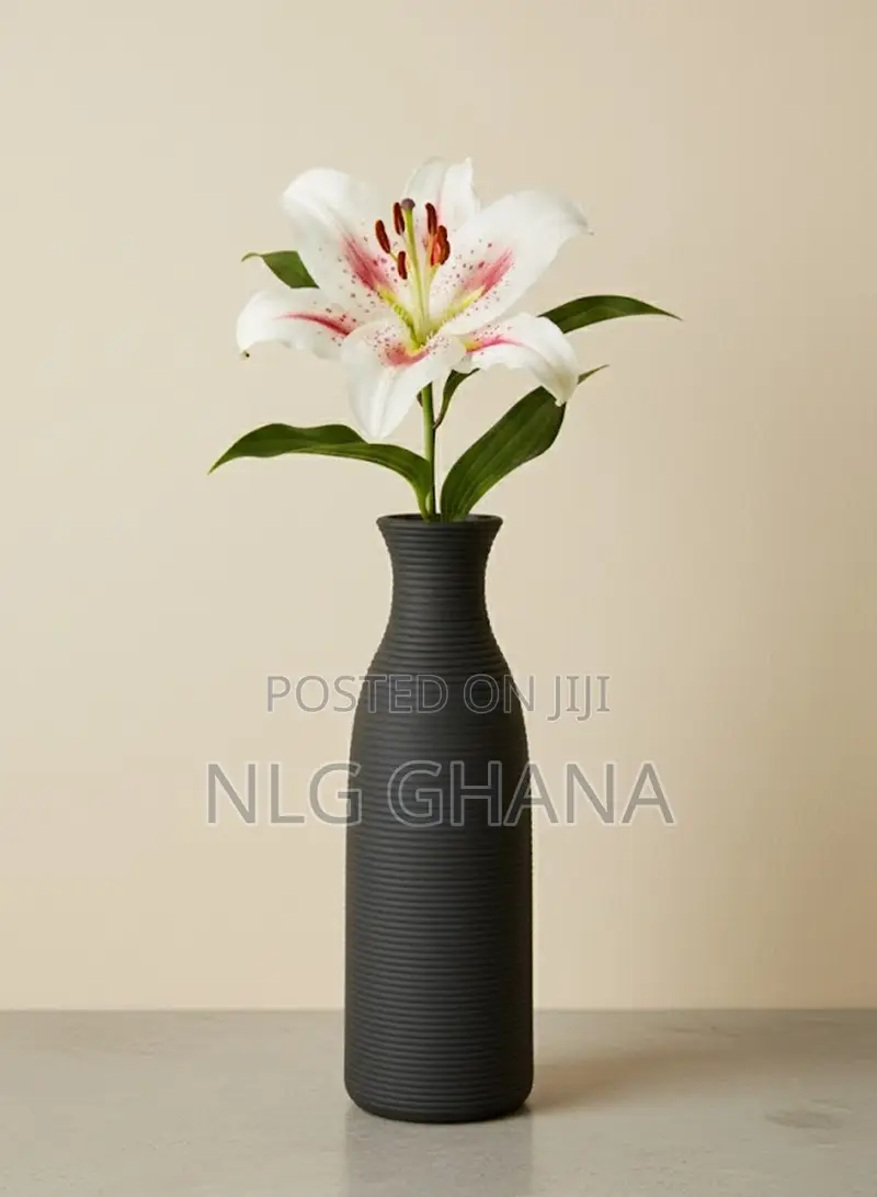 Modern Ceramic Vase With Matte Finish. Ghx7486