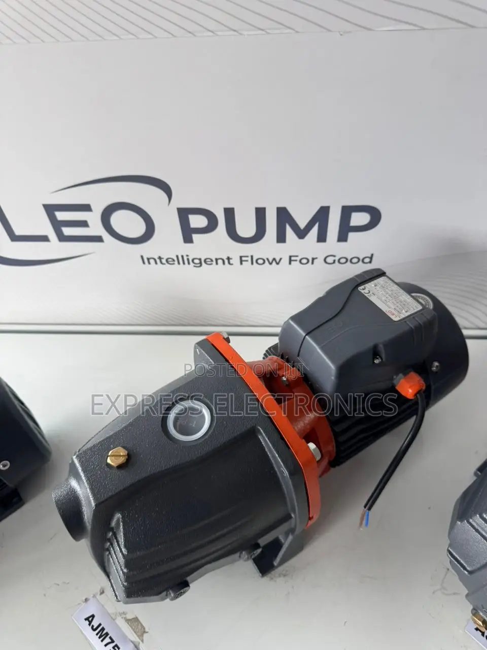 Rust Free Water Pump Electric 2.0hp Leo