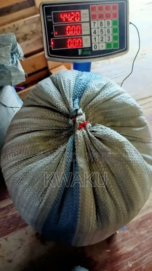 Maize for Sale