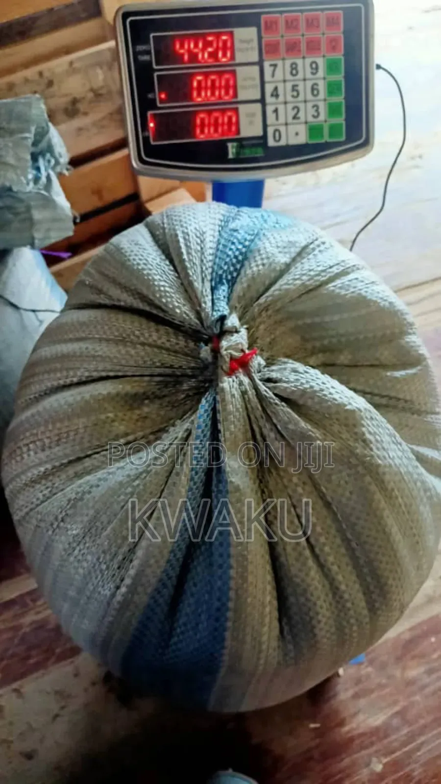 Maize for Sale