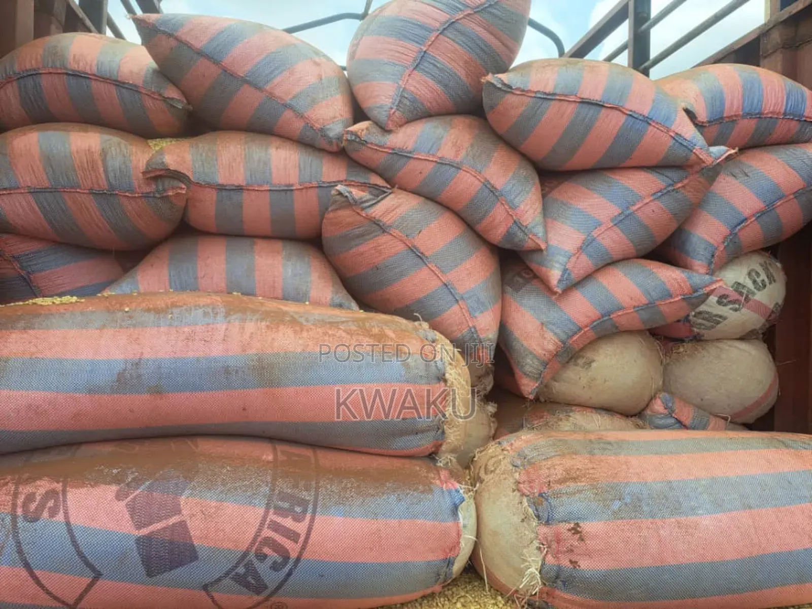 Maize for Sale
