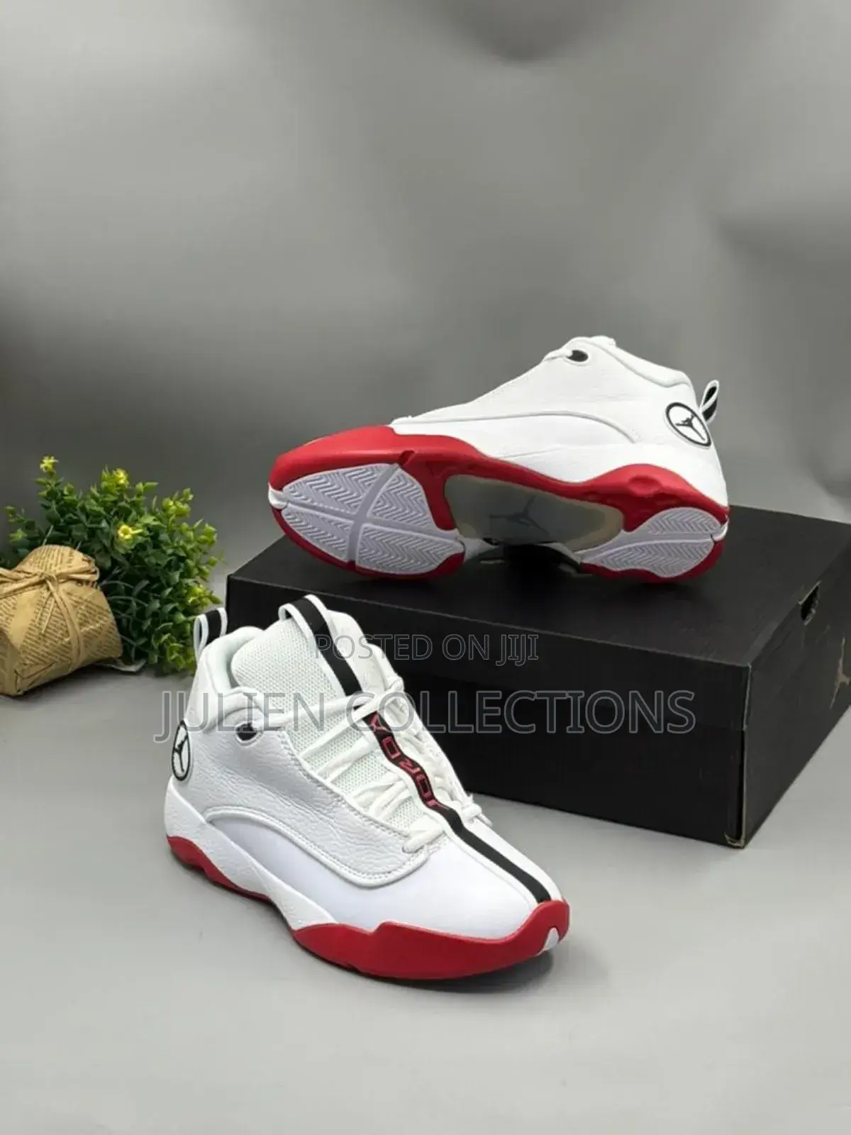 Air Jordan Jump Man Pro