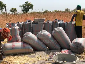Quality Bags of Maize for Sale