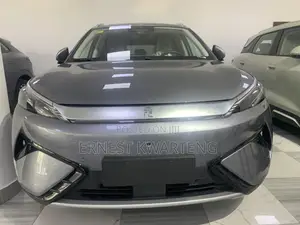New BYD Yuan Plus 2025 Gray