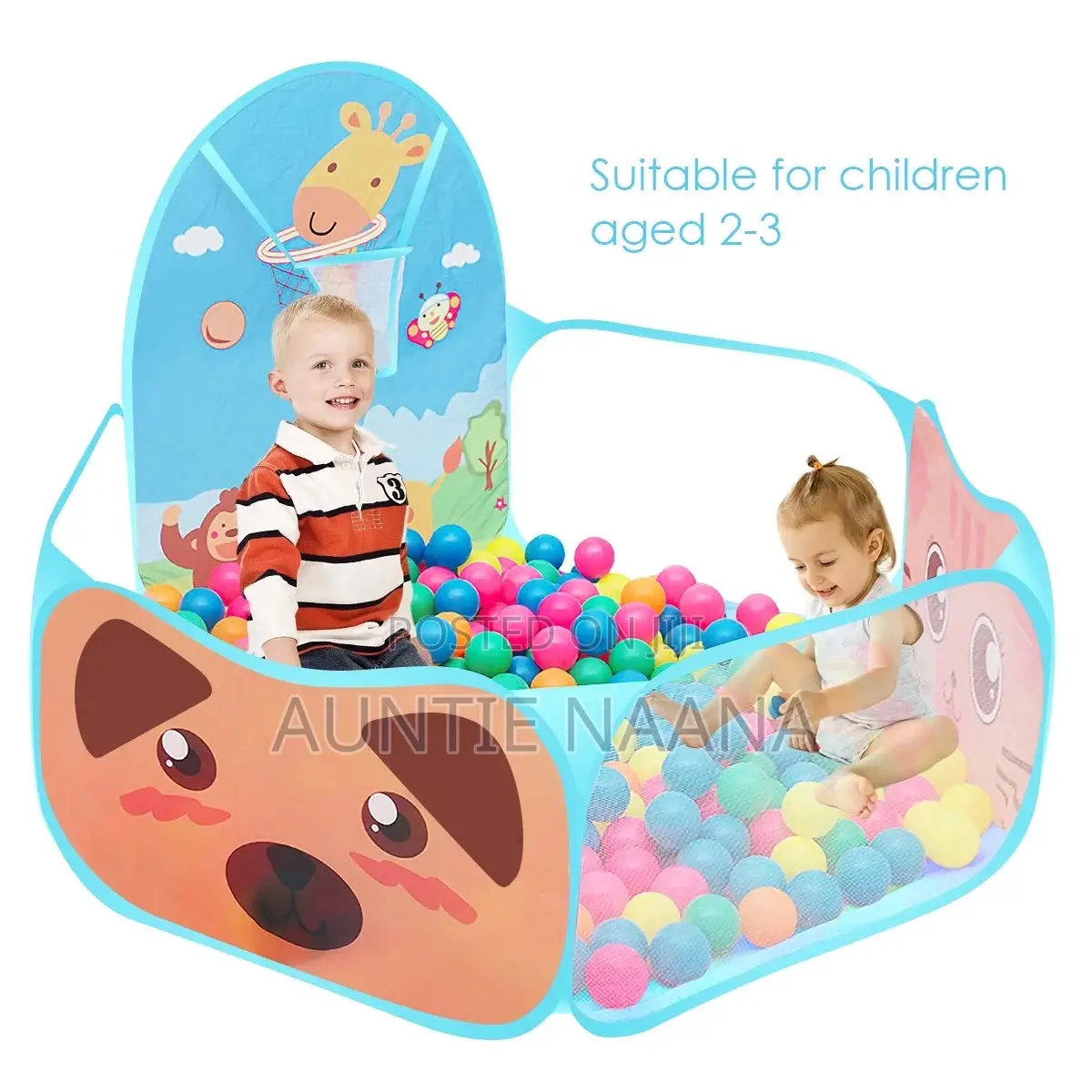 Kids Ball Pit Playpen