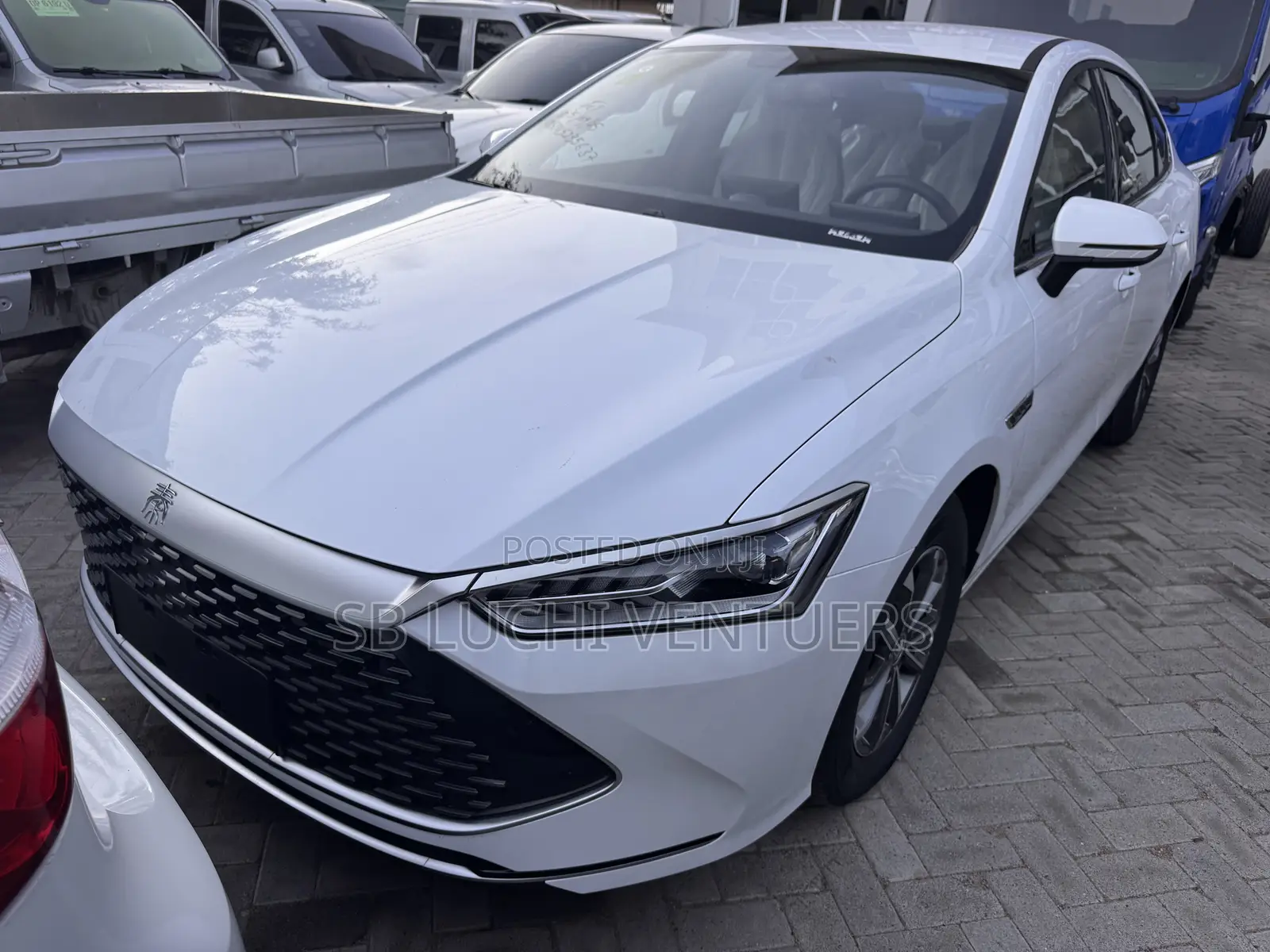 BYD Qin Plus DM-i 2025 White