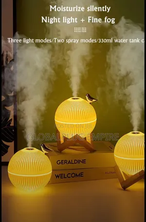 Mini Air Humidifier Led Light and Aromatherapy Usb Rechargeable