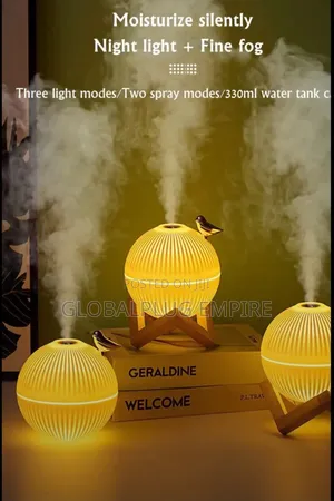 Mini Air Humidifier Led Light and Aromatherapy Usb Rechargeable