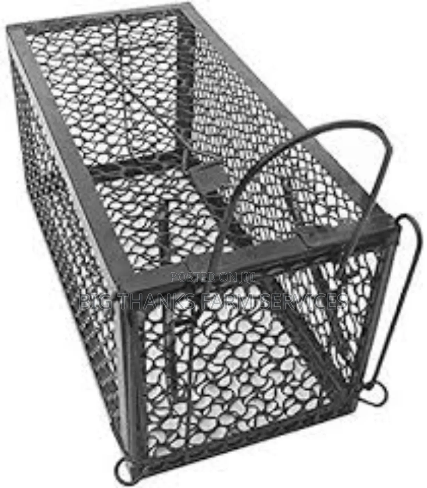 Cage Traps For Cats, Bigger Rodents