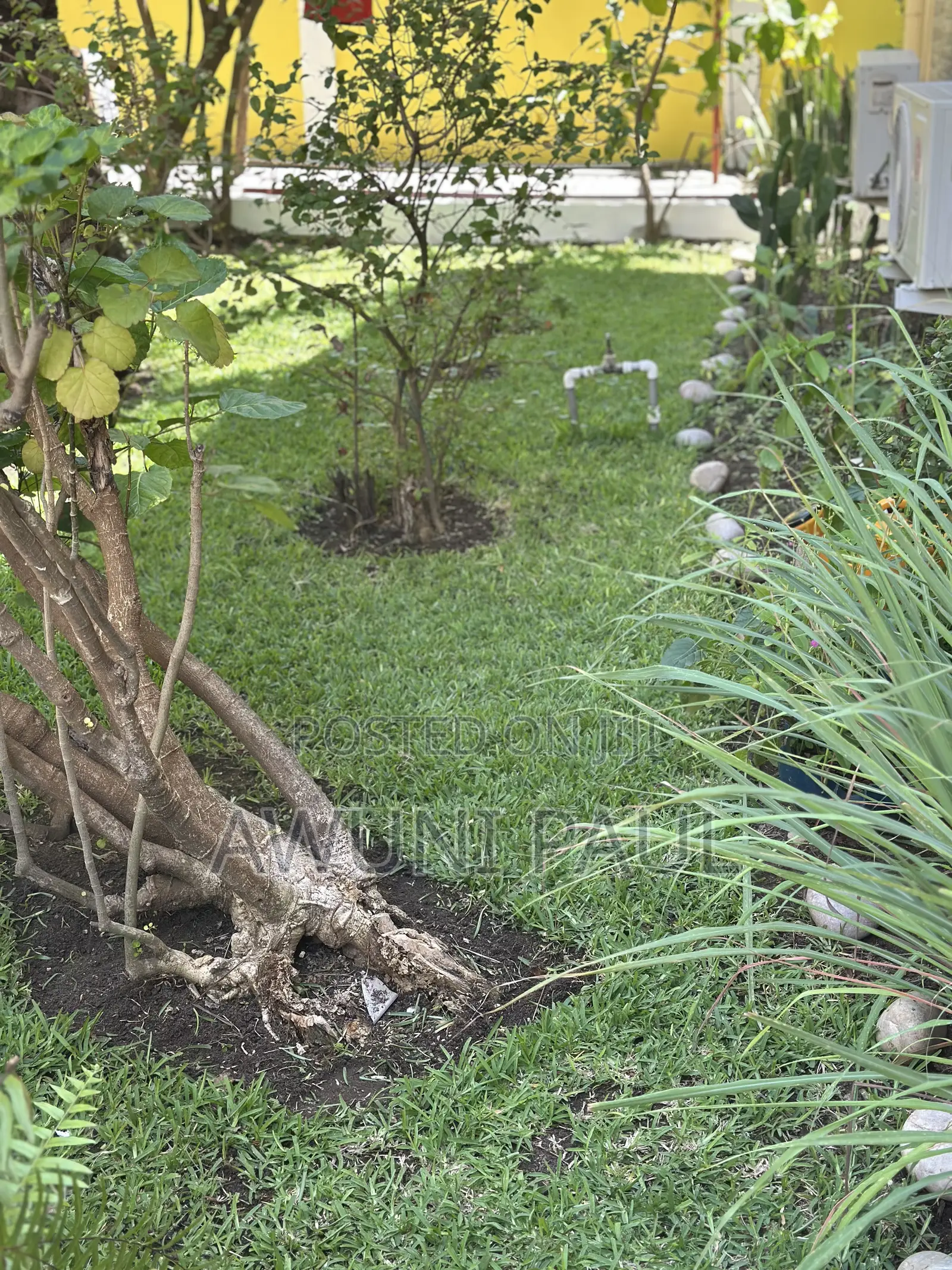 Professional Gardener