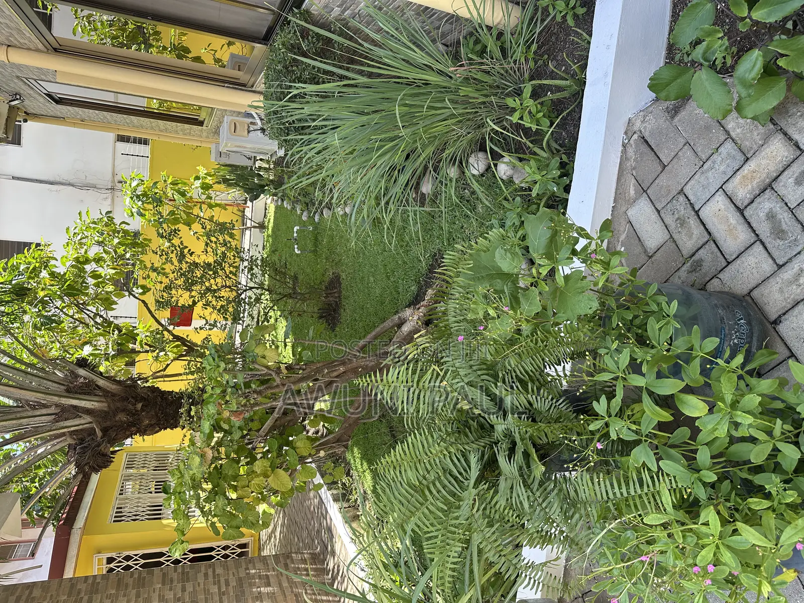 Professional Gardener