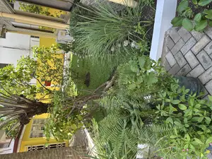 Professional Gardener