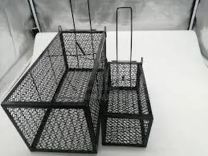 Cage Traps For Trapping Bigger Animals