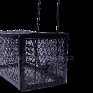 Effective Cage Traps For Different Animals