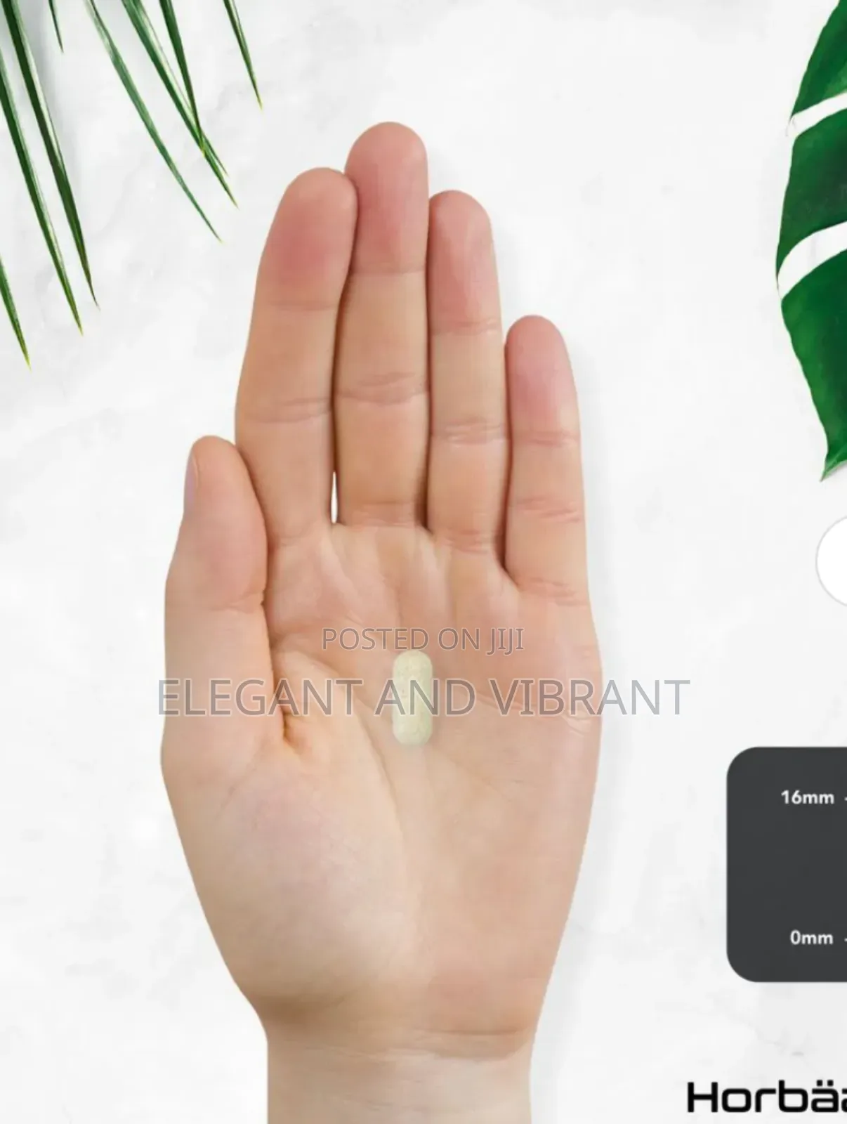 Panax Korean Ginseng 10,000 Mg | 120 Tablets