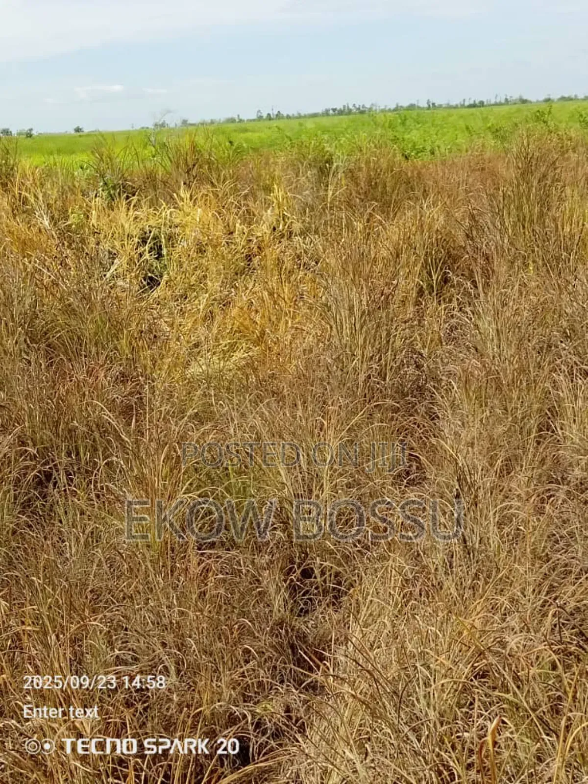 300 Acres Farm Land