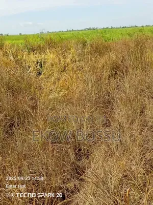 300 Acres Farm Land