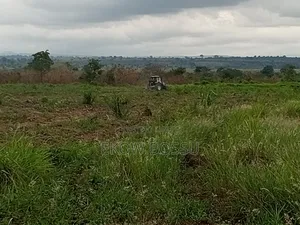 300 Acres Farm Land
