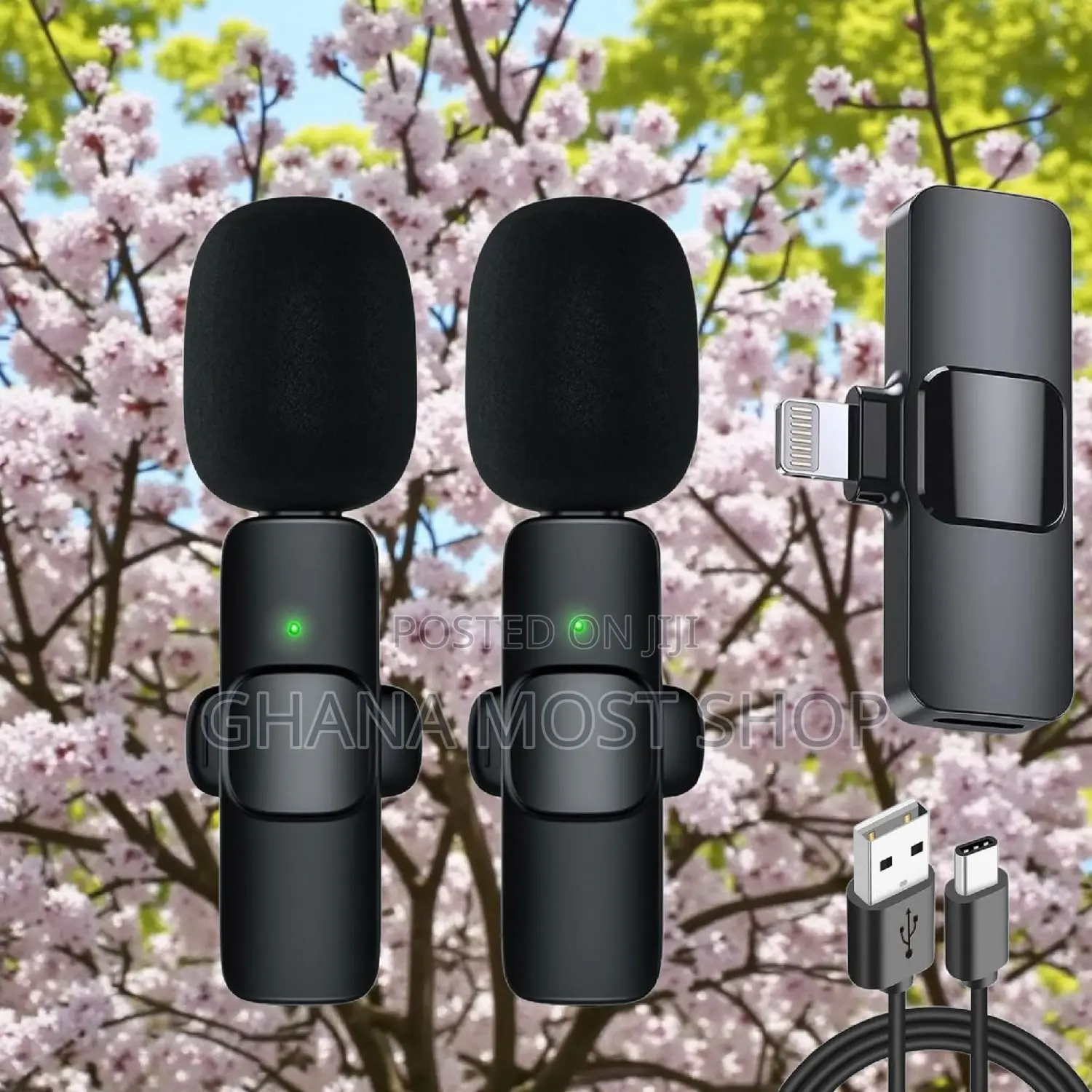 Wireless Microphone (2 in 1) 86500
