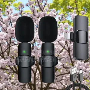 Wireless Microphone (2 in 1) 86500