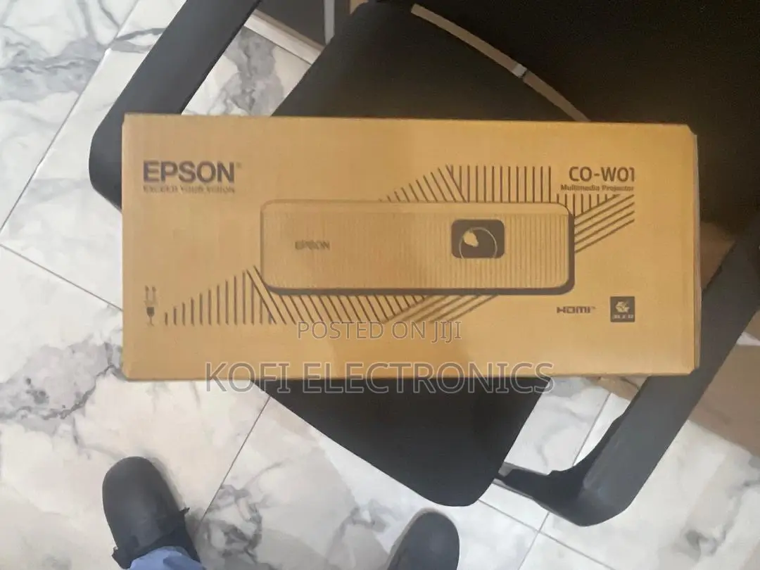 Professional-Grade Epson Visual Display Projector