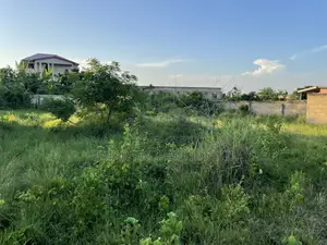 Two Plots Fenced Land at Ashalaja