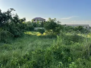 Two Plots Fenced Land at Ashalaja