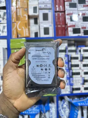 External Hard Disk Drive 250gb