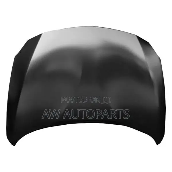 Nissan Patrol 2020 Hood