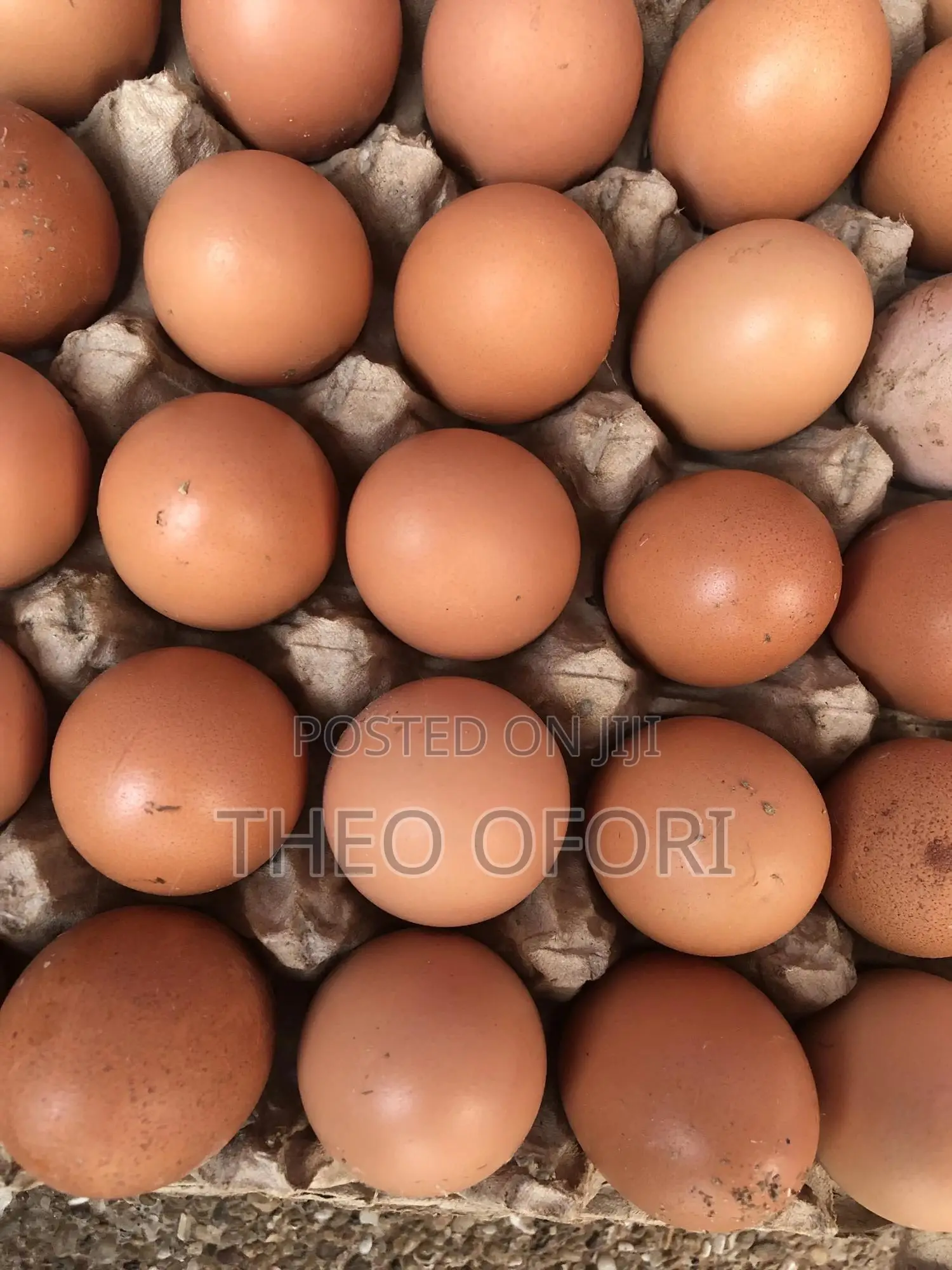Eggs and Poultry Feeders for Sale