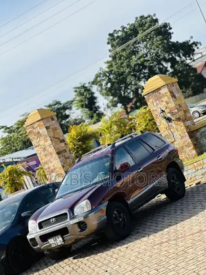 Hyundai Santa Fe 2001 Brown