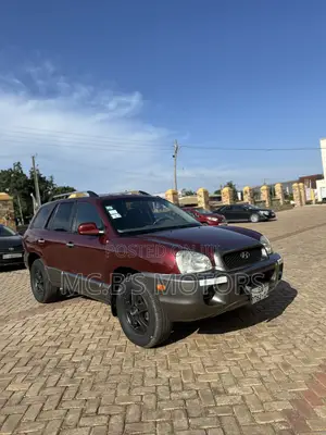 Hyundai Santa Fe 2001 Brown