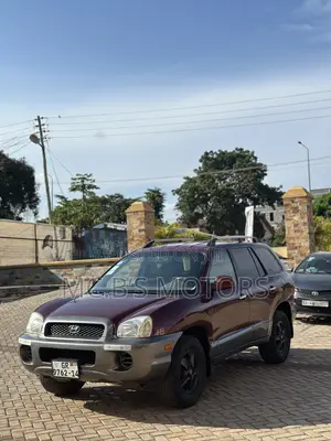 Hyundai Santa Fe 2001 Brown